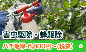 害虫駆除・蜂駆除