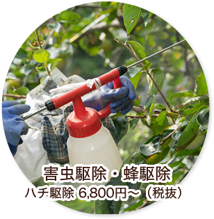 害虫駆除・蜂駆除